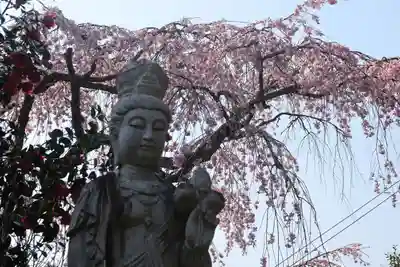 瑞雲寺(福島県)