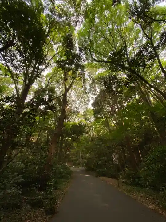 明治神宮(東京都)