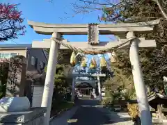 上青木氷川神社の鳥居