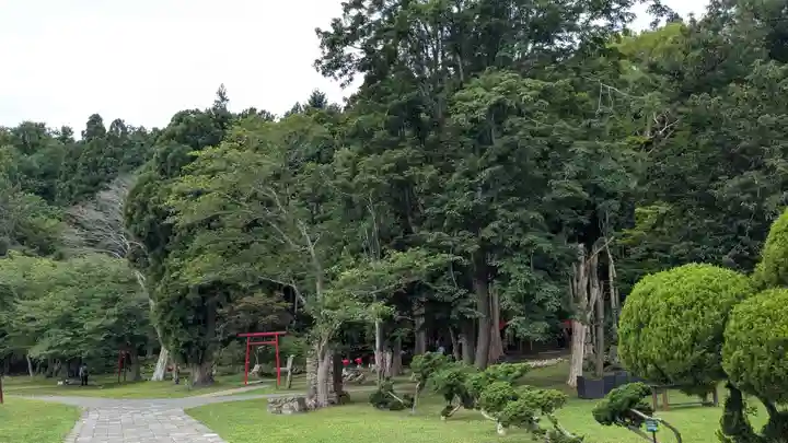 神社(洞爺湖中の島)の景色