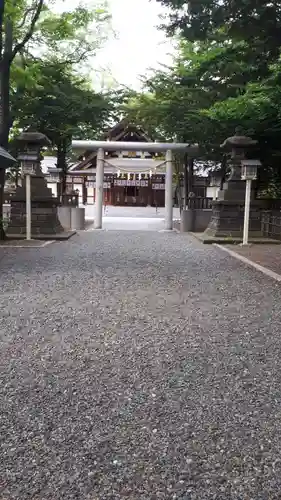 新琴似神社の鳥居