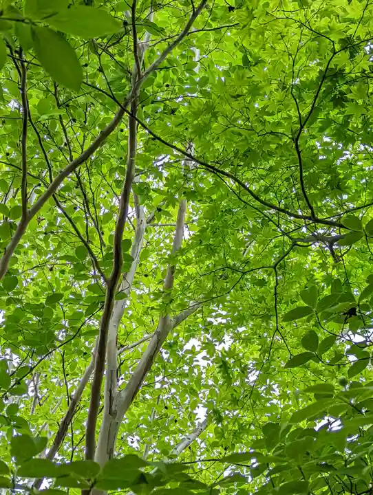 退蔵院(京都府)