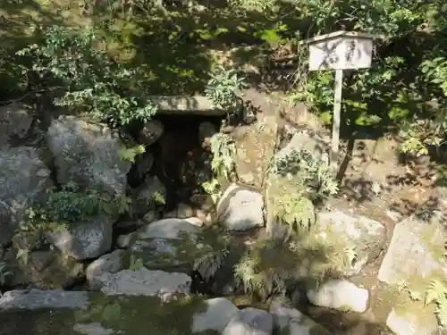 鹿苑寺（金閣寺）の自然