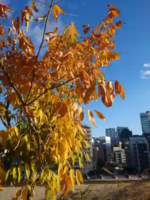 本覺寺(神奈川県)