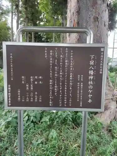 下宿八幡神社の歴史
