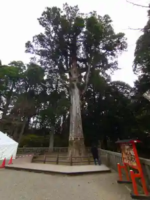 霧島神宮(鹿児島県)