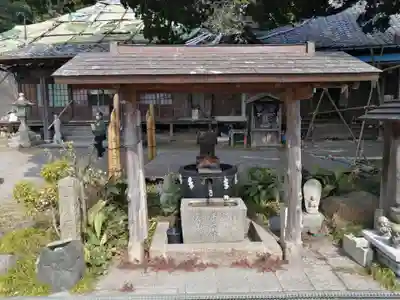 大善院（観蓮寺大善院）の手水舎