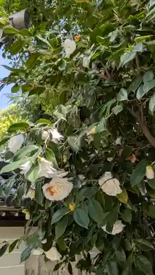 了徳院(大阪府)