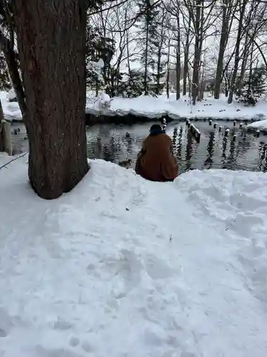 永山神社の庭園