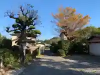 妙蔵寺のその他建物