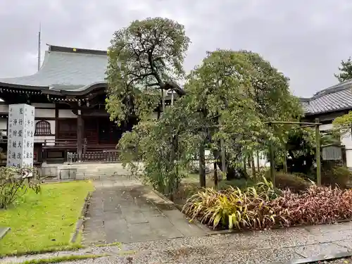 遠壽院の本殿・本堂