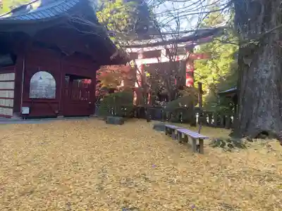 北口本宮冨士浅間神社(山梨県)