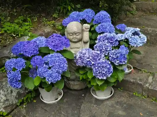 岡寺（龍蓋寺）(奈良県)