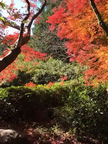 飯野高宮神山神社の自然