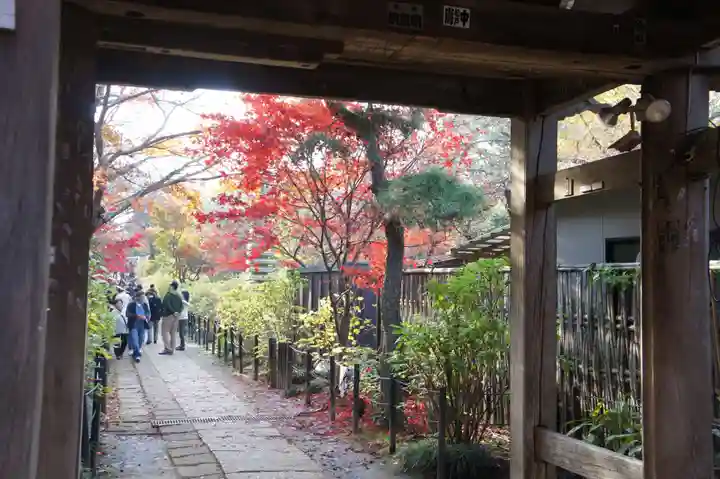 本土寺(千葉県)