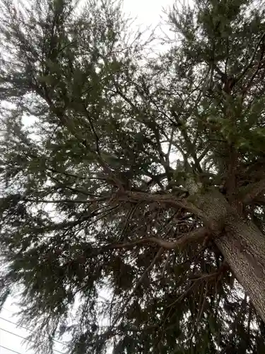 武蔵第六天神社(埼玉県)