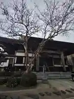 山清寺の本殿・本堂