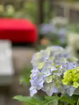 宝登山神社(埼玉県)