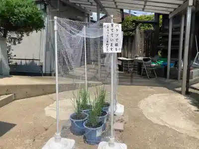 總社 和田八幡宮(福井県)