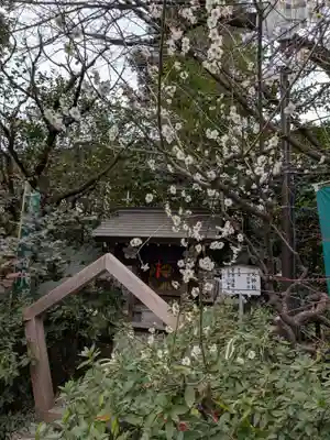 阿佐ヶ谷神明宮(東京都)