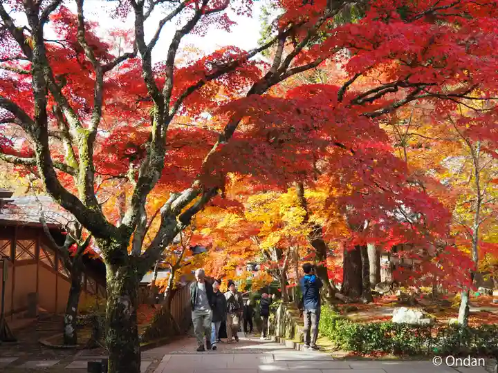 永源寺(滋賀県)