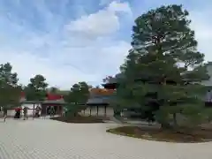 天龍寺の庭園