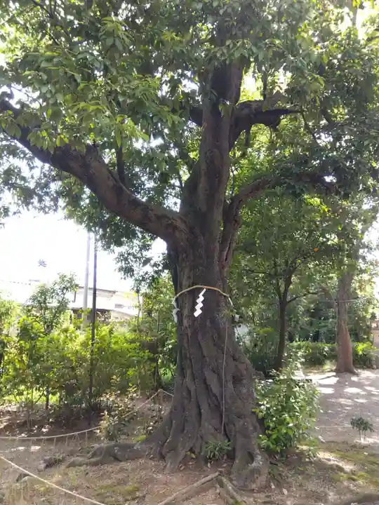 賣太神社(奈良県)