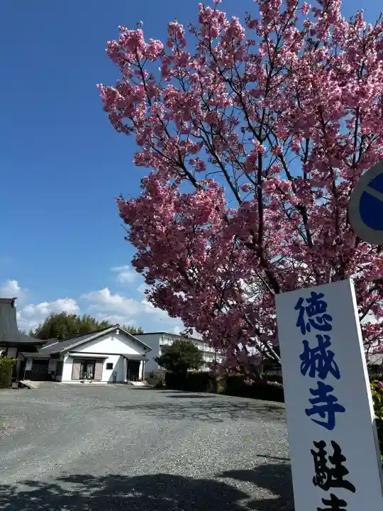 祇園山 徳城寺の{uncategorized: "未分類", other: "その他", undefined: "問題あり", building: "その他建物", grave: "お墓", sacred_gate: "鳥居", guardian: "狛犬", statue: "像", buddha: "仏像", history: "歴史", nature: "自然", garden: "庭園", animal: "動物", pagoda: "塔", temizu: "手水舎", mountain_gate: "山門・神門", sanctuary: "本殿・本堂", subordinate: "末社・摂社", art: "芸術", scenery: "景色", jizo: "地蔵", ema: "絵馬", goshuin: "御朱印", omikuji: "おみくじ", items: "授与品その他", amulet: "お守り", goshuincho: "御朱印帳", eats: "食事", festival: "お祭り", votive_dance: "神楽", shichigosan: "七五三参", wedding: "結婚式", experience: "体験その他", initially: "初詣", around: "周辺", anti_infection: "感染症対策"}