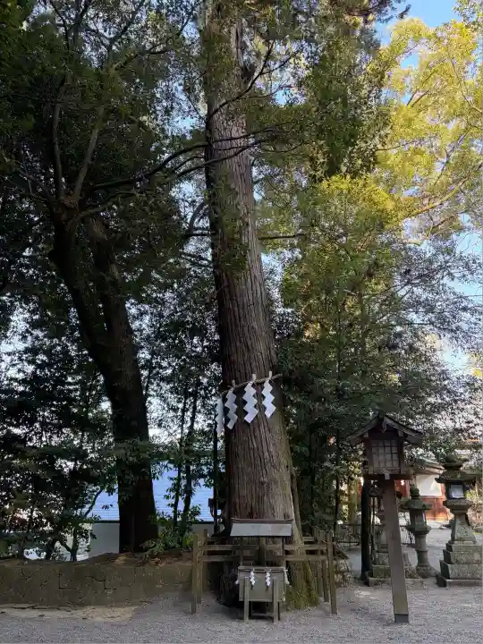 石上神宮(奈良県)