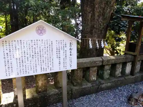 久能山東照宮(静岡県)