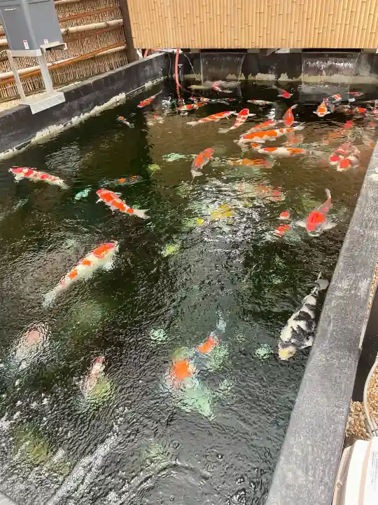 感通寺の{uncategorized: "未分類", other: "その他", undefined: "問題あり", building: "その他建物", grave: "お墓", sacred_gate: "鳥居", guardian: "狛犬", statue: "像", buddha: "仏像", history: "歴史", nature: "自然", garden: "庭園", animal: "動物", pagoda: "塔", temizu: "手水舎", mountain_gate: "山門・神門", sanctuary: "本殿・本堂", subordinate: "末社・摂社", art: "芸術", scenery: "景色", jizo: "地蔵", ema: "絵馬", goshuin: "御朱印", omikuji: "おみくじ", items: "授与品その他", amulet: "お守り", goshuincho: "御朱印帳", eats: "食事", festival: "お祭り", votive_dance: "神楽", shichigosan: "七五三参", wedding: "結婚式", experience: "体験その他", initially: "初詣", around: "周辺", anti_infection: "感染症対策"}