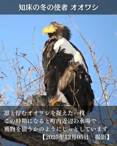 宝光寺(北海道)