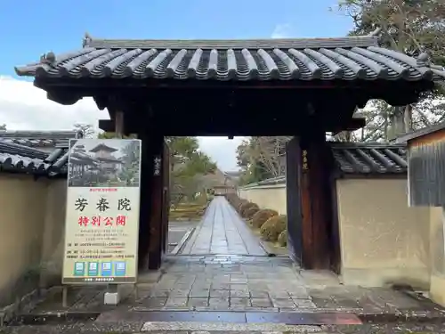 芳春院の山門