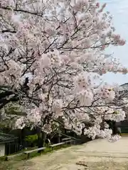 功山寺(山口県)