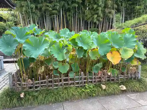 竺園寺(千葉県)