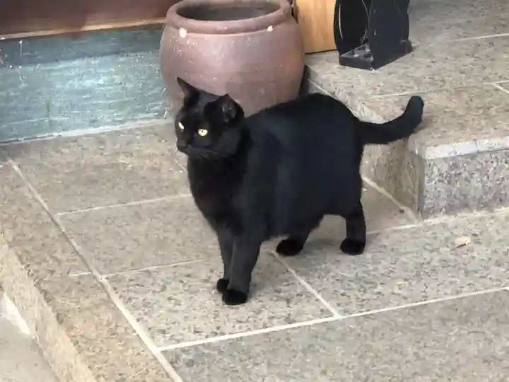 王子神社の動物