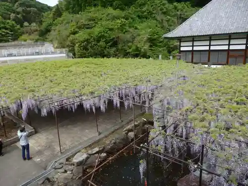 長泉寺の景色