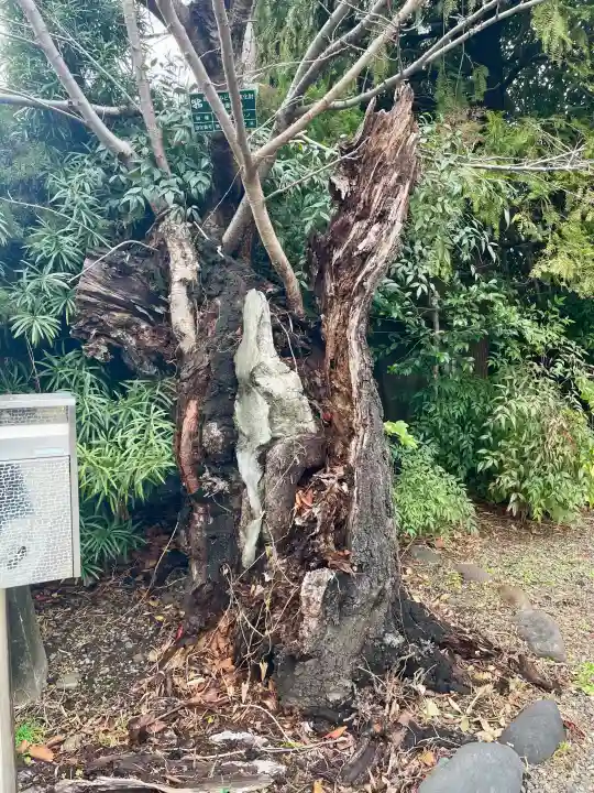 常泉寺の{uncategorized: "未分類", other: "その他", undefined: "問題あり", building: "その他建物", grave: "お墓", sacred_gate: "鳥居", guardian: "狛犬", statue: "像", buddha: "仏像", history: "歴史", nature: "自然", garden: "庭園", animal: "動物", pagoda: "塔", temizu: "手水舎", mountain_gate: "山門・神門", sanctuary: "本殿・本堂", subordinate: "末社・摂社", art: "芸術", scenery: "景色", jizo: "地蔵", ema: "絵馬", goshuin: "御朱印", omikuji: "おみくじ", items: "授与品その他", amulet: "お守り", goshuincho: "御朱印帳", eats: "食事", festival: "お祭り", votive_dance: "神楽", shichigosan: "七五三参", wedding: "結婚式", experience: "体験その他", initially: "初詣", around: "周辺", anti_infection: "感染症対策"}