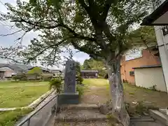 但馬国分寺(兵庫県)