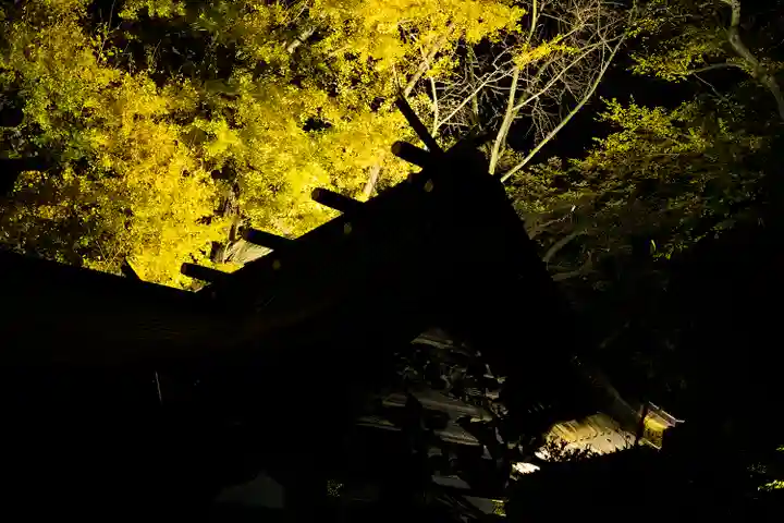 玉敷神社(埼玉県)