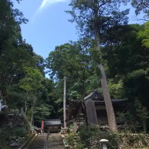 崇道神社の自然