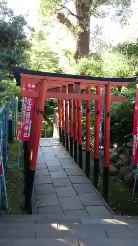 花園稲荷神社の鳥居