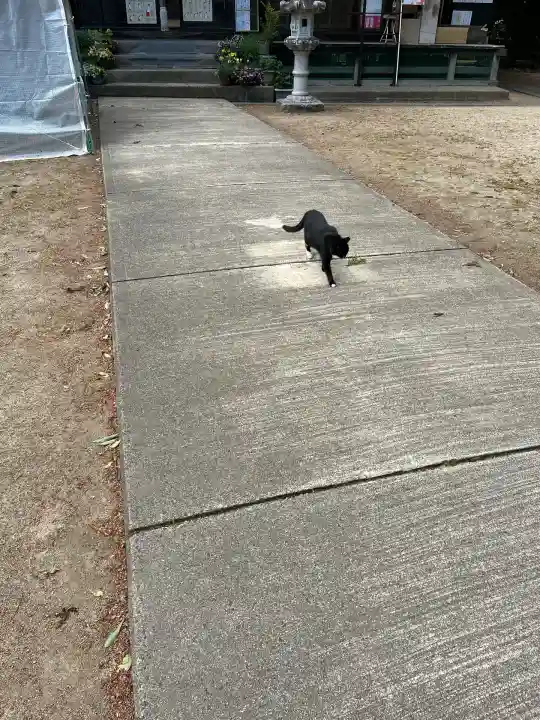 岡部春日神社~👹鬼門よけの🌺花咲く🌺やしろ~(福島県)