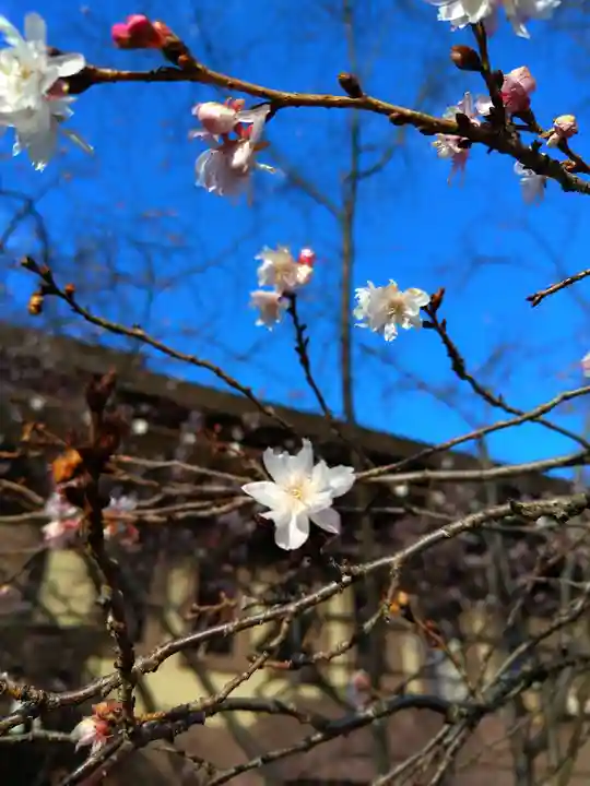 金剛院(東京都)