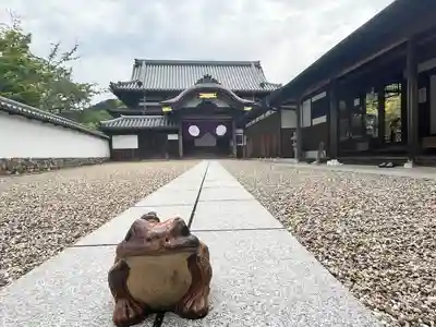 金剛寺(大阪府)