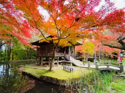 中尊寺の本殿・本堂
