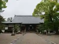 大樹寺(松安院大樹寺)の本殿・本堂