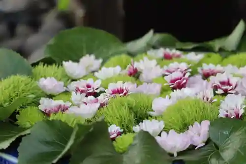 上尾御嶽神社の手水