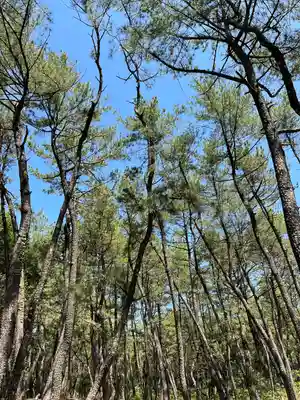 みそぎ御殿(宮崎県)