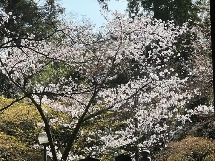 真正極楽寺(真如堂)(京都府)